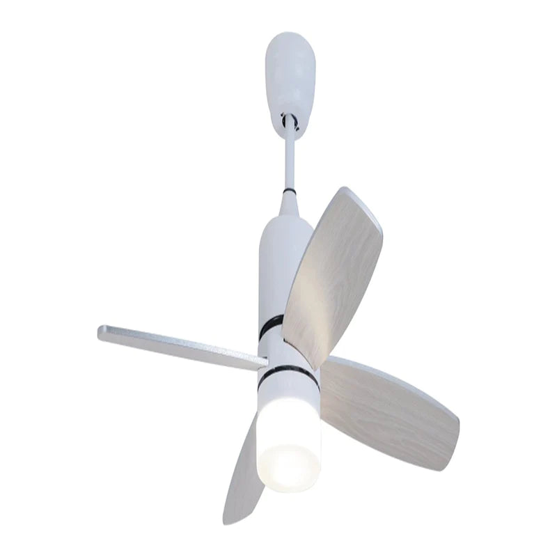 Franka Ceiling Fan